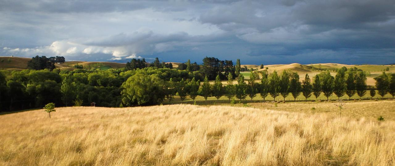 Tree House Lodge Bed & Breakfast Cheviot Exterior foto