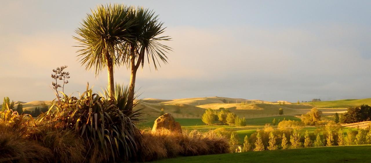 Tree House Lodge Bed & Breakfast Cheviot Exterior foto